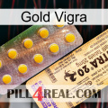 Gold Vigra new06